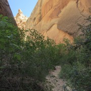 IMG 4588