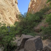 IMG 4590