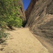 IMG 4594
