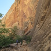 IMG 4596