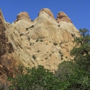 IMG 4597