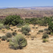 IMG 4606
