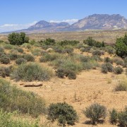 IMG 4607