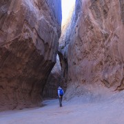 IMG 4674