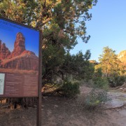 IMG 4781