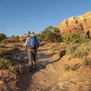 IMG 4782