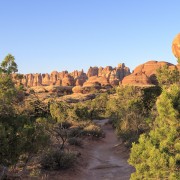 IMG 4783