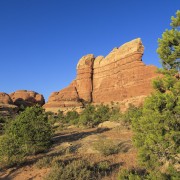 IMG 4784