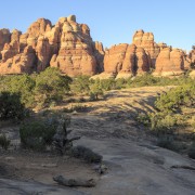 IMG 4787