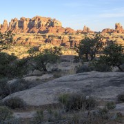 IMG 4788