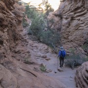 IMG 4792