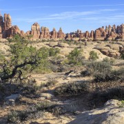 IMG 4795