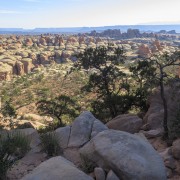 IMG 4798