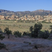 IMG 4803