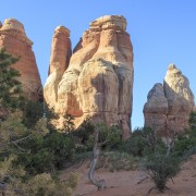 IMG 4816