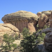 IMG 4836