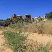 IMG 4839