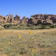 IMG 4841