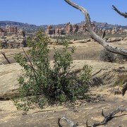 IMG 4845