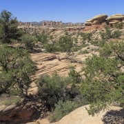 IMG 4847