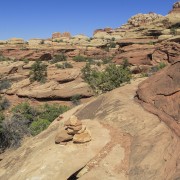 IMG 4848
