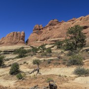 IMG 4852