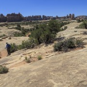 IMG 4853