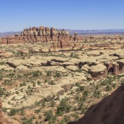 IMG 4858