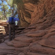 IMG 4863