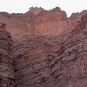 IMG 4898