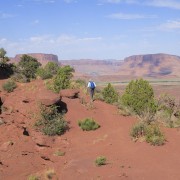 IMG 4918