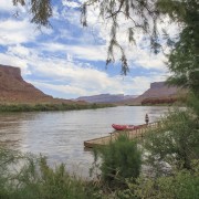 IMG 4941