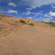 IMG 4949