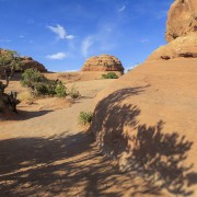 IMG 4951