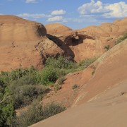 IMG 4953