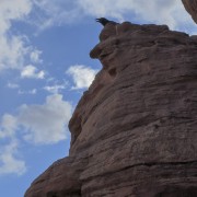 IMG 4967