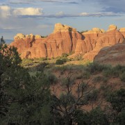 IMG 4979