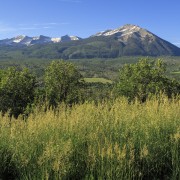 IMG 5063
