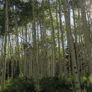 IMG 5073