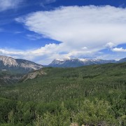IMG 5123