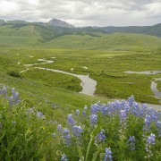 IMG 5173