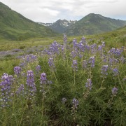 IMG 5193