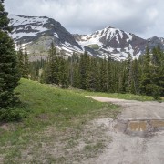 IMG 5224