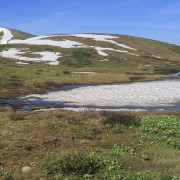 IMG 5544