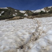 IMG 5556