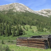 IMG 5584