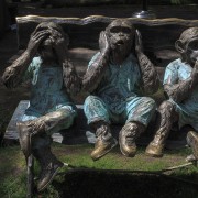 IMG 5591