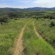 IMG 5616