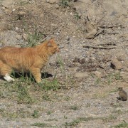 IMG 5639