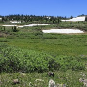 IMG 5671